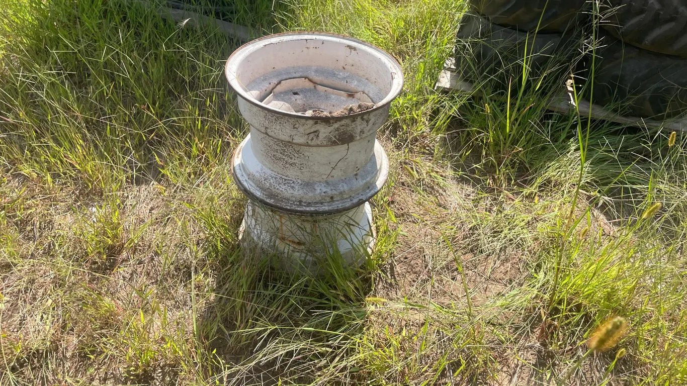 (2) Rims