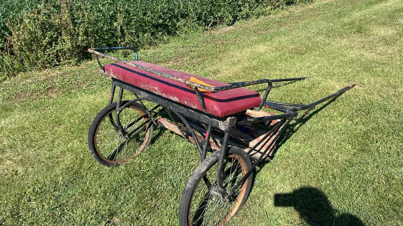 (2) Wheeled Pony Cart