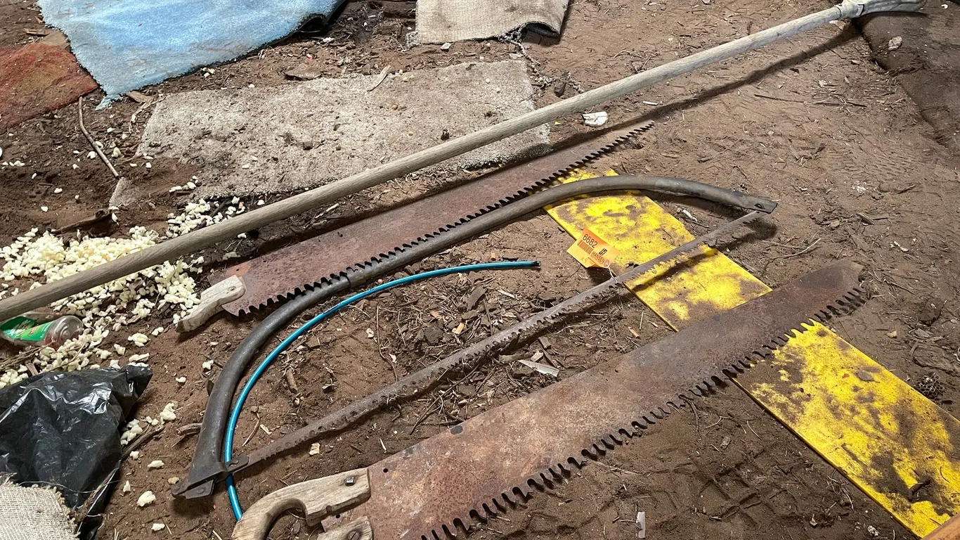 (3) Vintage Saws & Push Pole