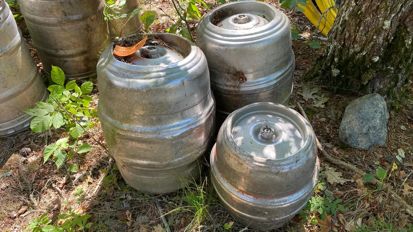 (3) Aluminum Kegs