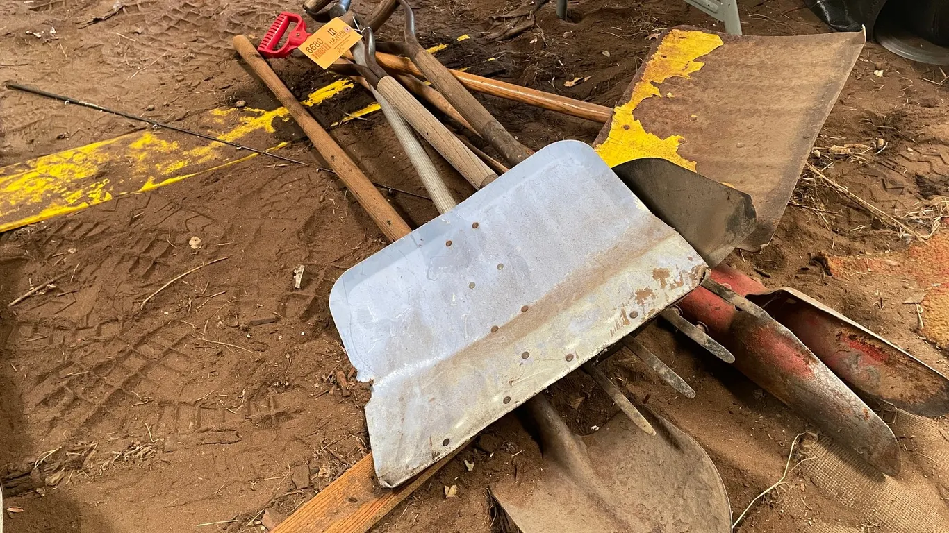 Assortment of Handled Tools
