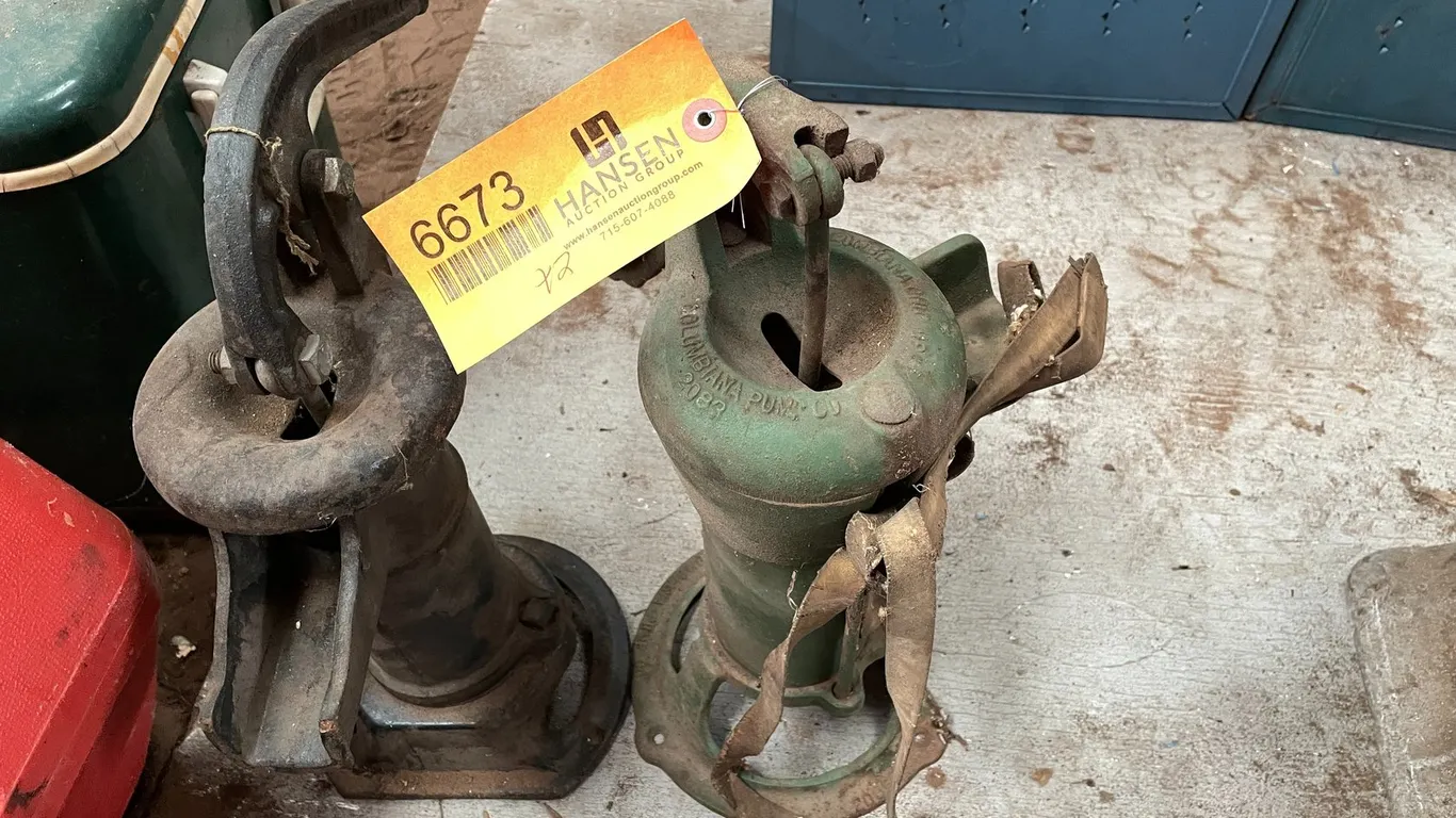 (2) Vintage Water Pumps