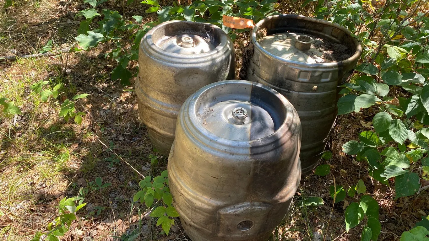 (3) Aluminum Kegs