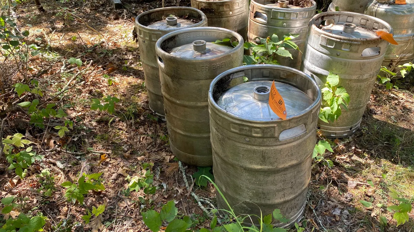 (3) Aluminum Kegs