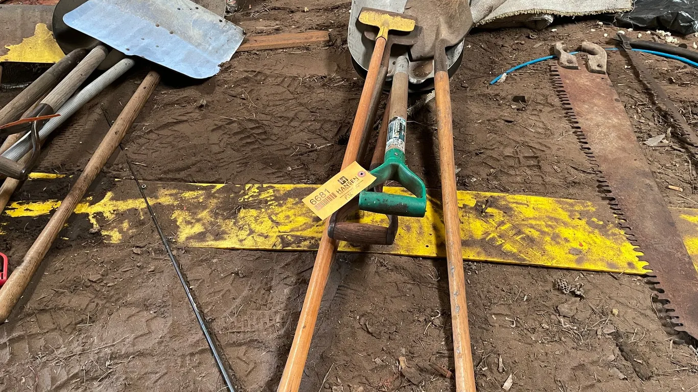 Assortment of Handled Tools