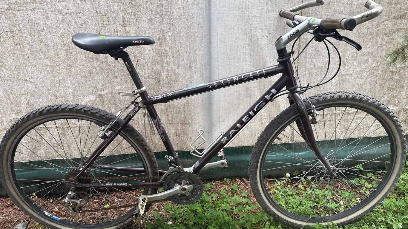 Raleigh Serengeti Relay Infiniti Tang Zoom Mountain Bike