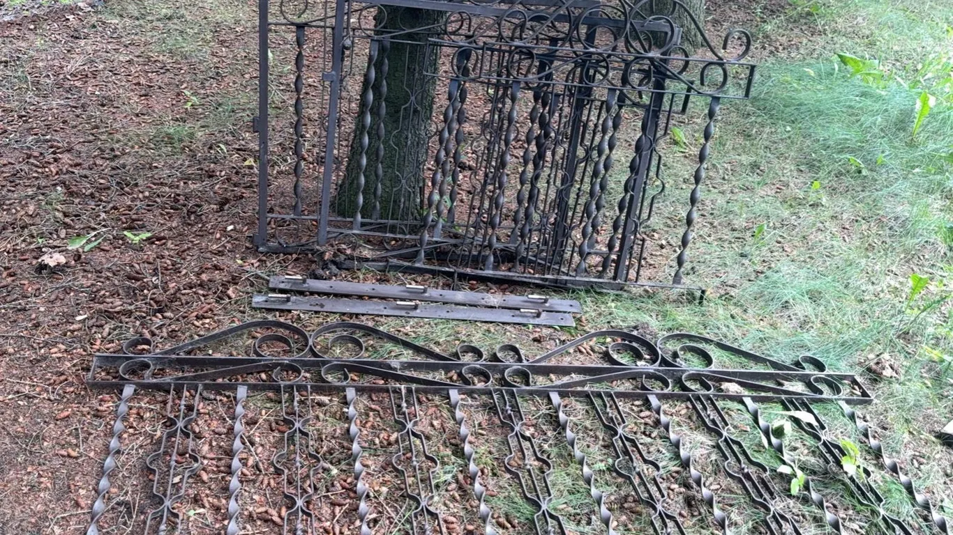Wrought Iron Decorative Railing Sections with Scrollwork