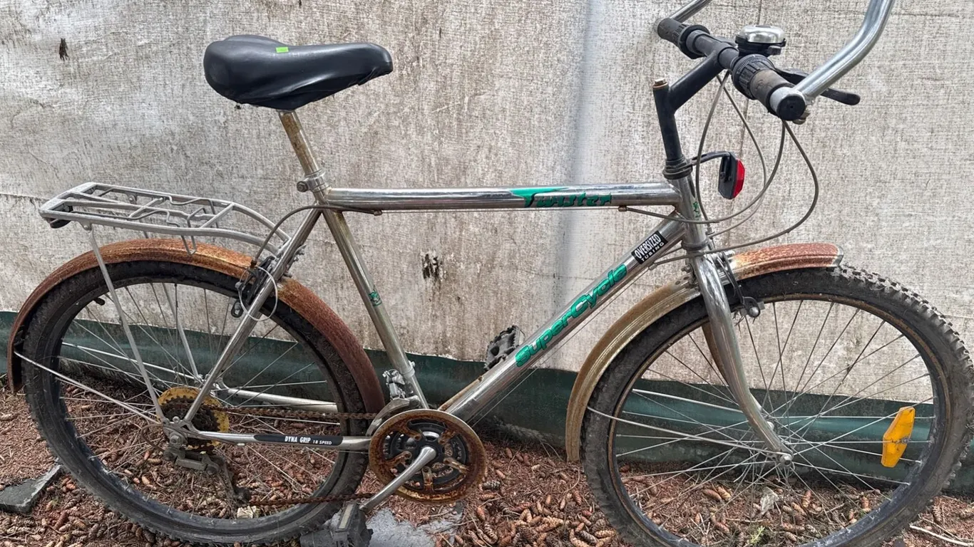 SuperCycle Twister 18-Speed Steel Frame Bicycle with Rear Rack
