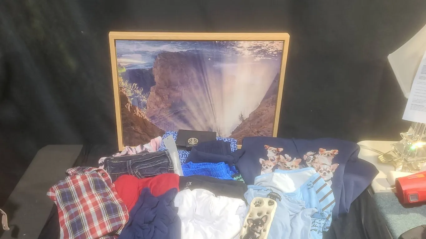 Women's Clothing Lot With Silver Jeans, Tops, Sweatshirt, and Accessories