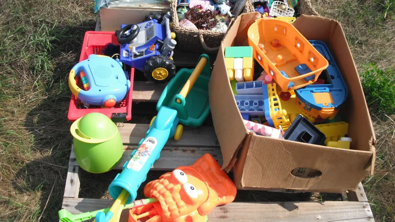 pallet lot - kids toys