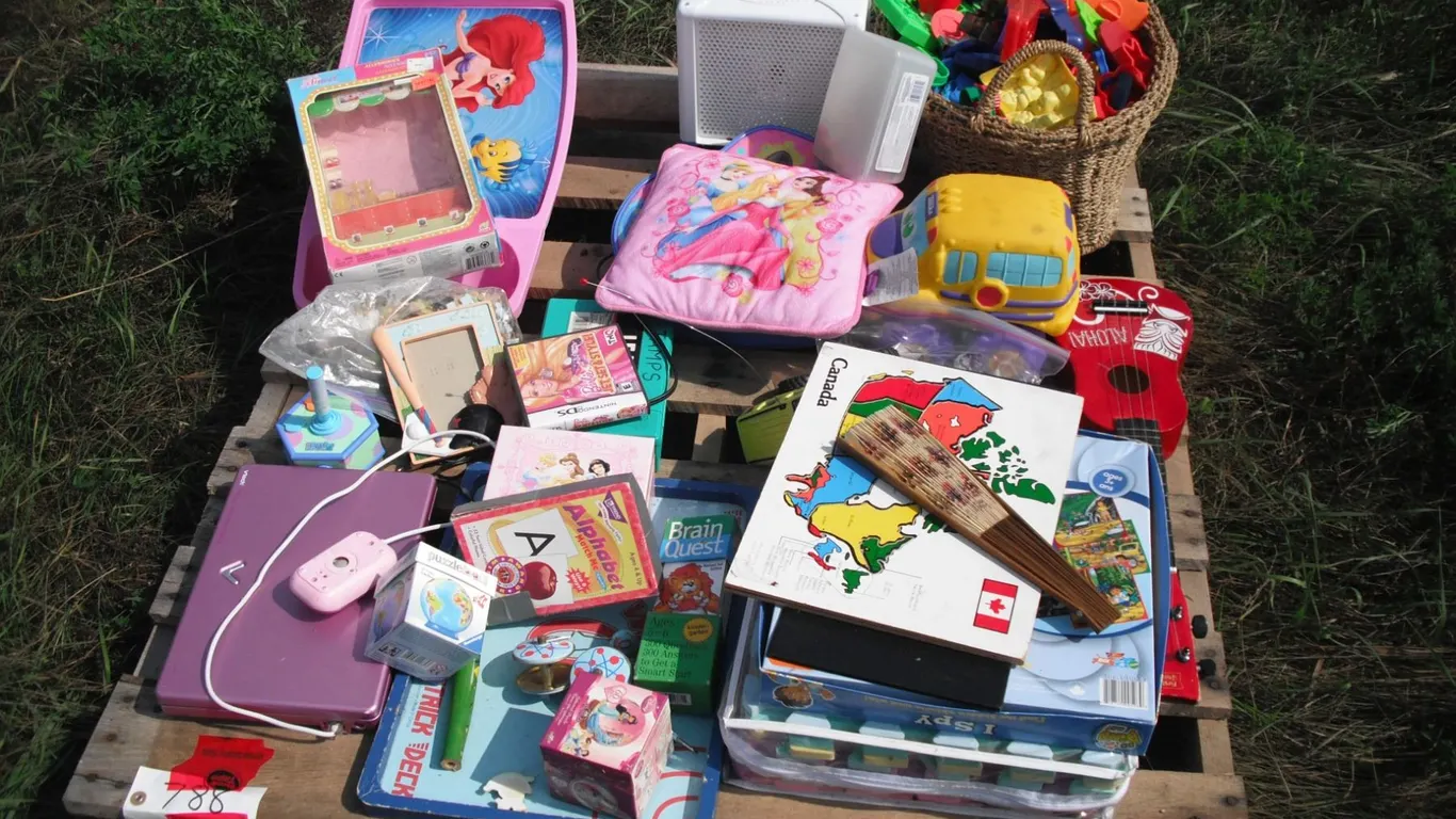 pallet lot - kids toys