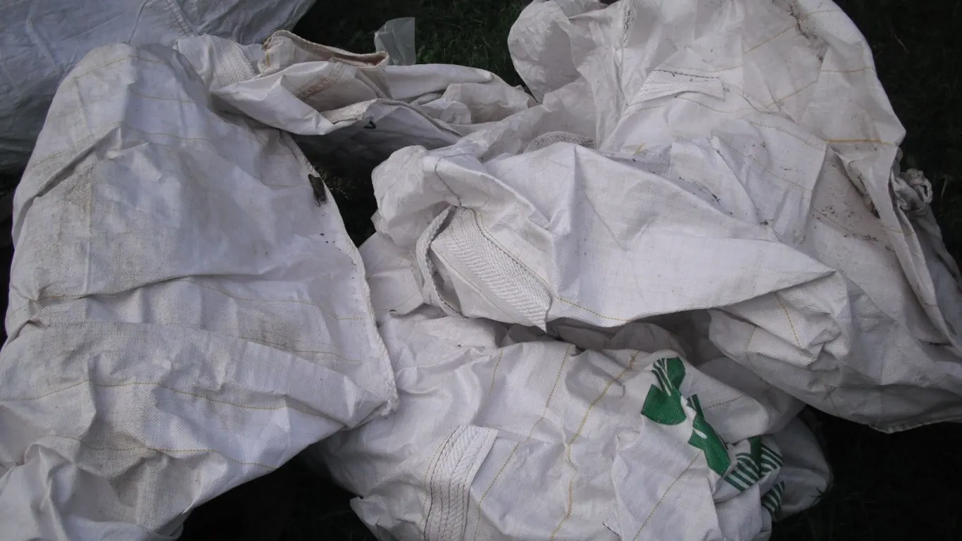 lot of grain bags