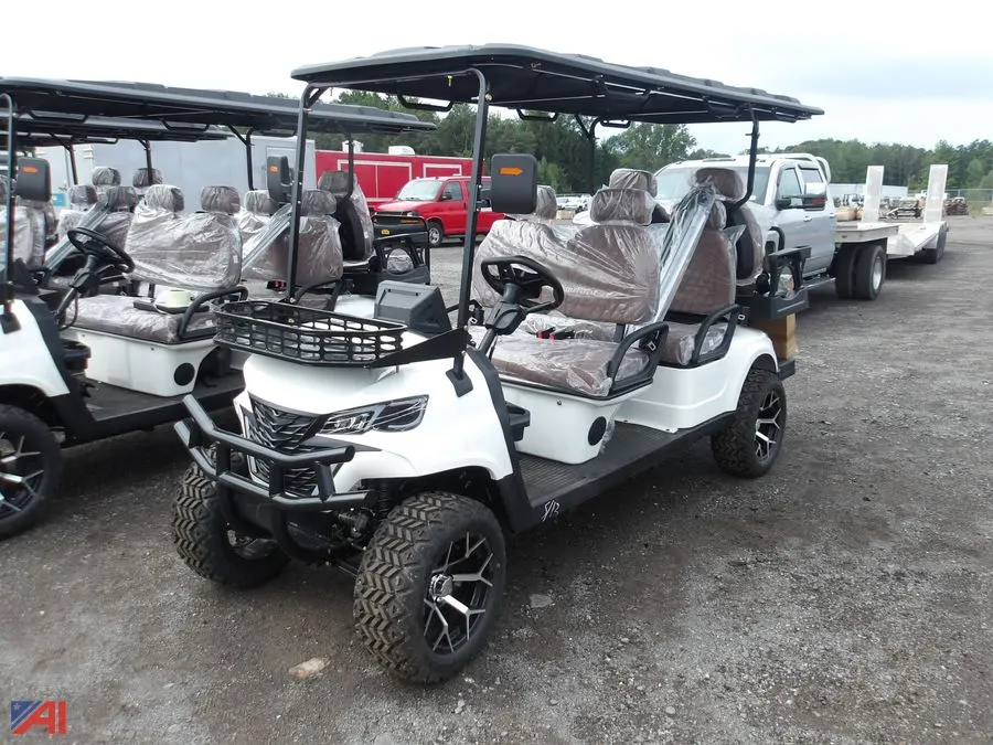 Golf Cart SDLGC100