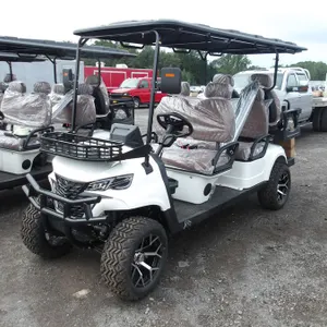 Golf Cart SDLGC100