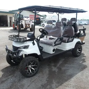 Golf Cart SDLGC100