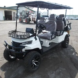 Golf Cart SDLGC100