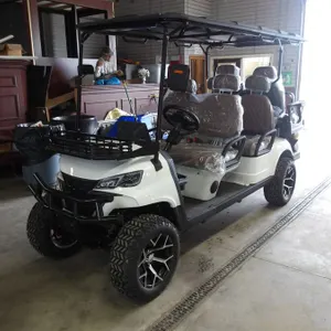 Golf Cart SDLGC100