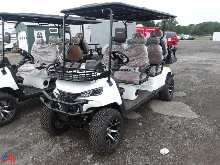 Golf Cart SDLGC100