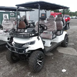 Golf Cart SDLGC100