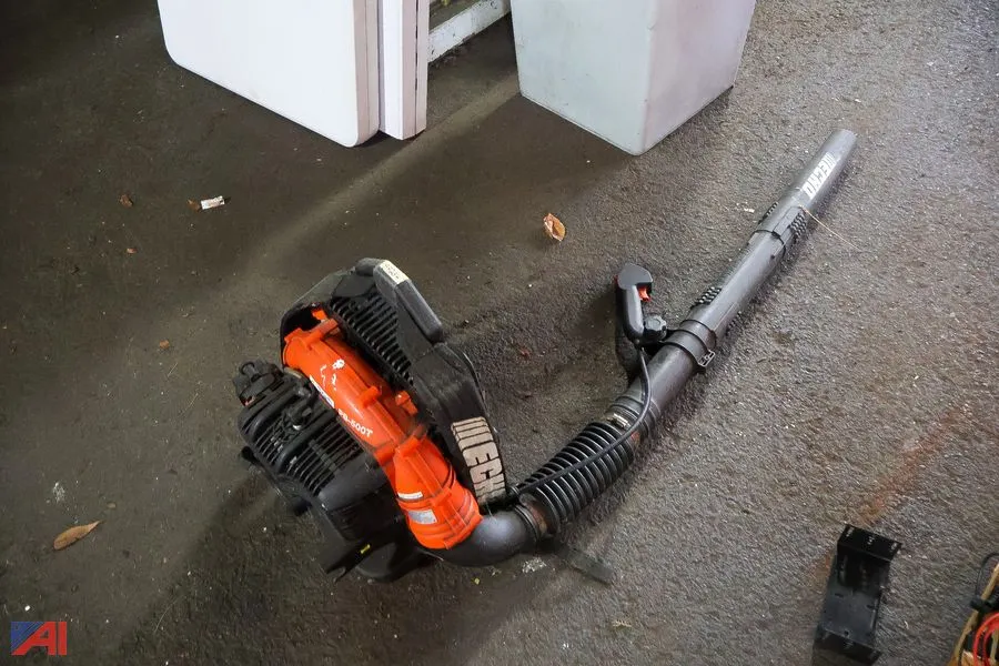 Echo Professional-Grade, Tube-Mounted Throttle Gas Backpack Leaf Blower