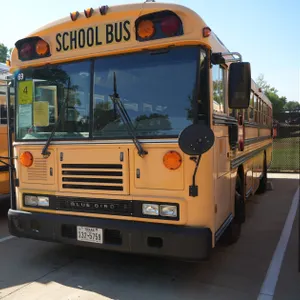 2010 Blue Bird School Bus