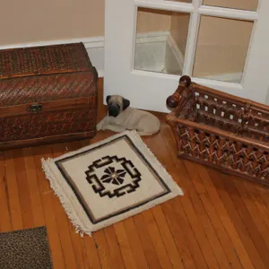 Basket, Rug, Pug & Chest