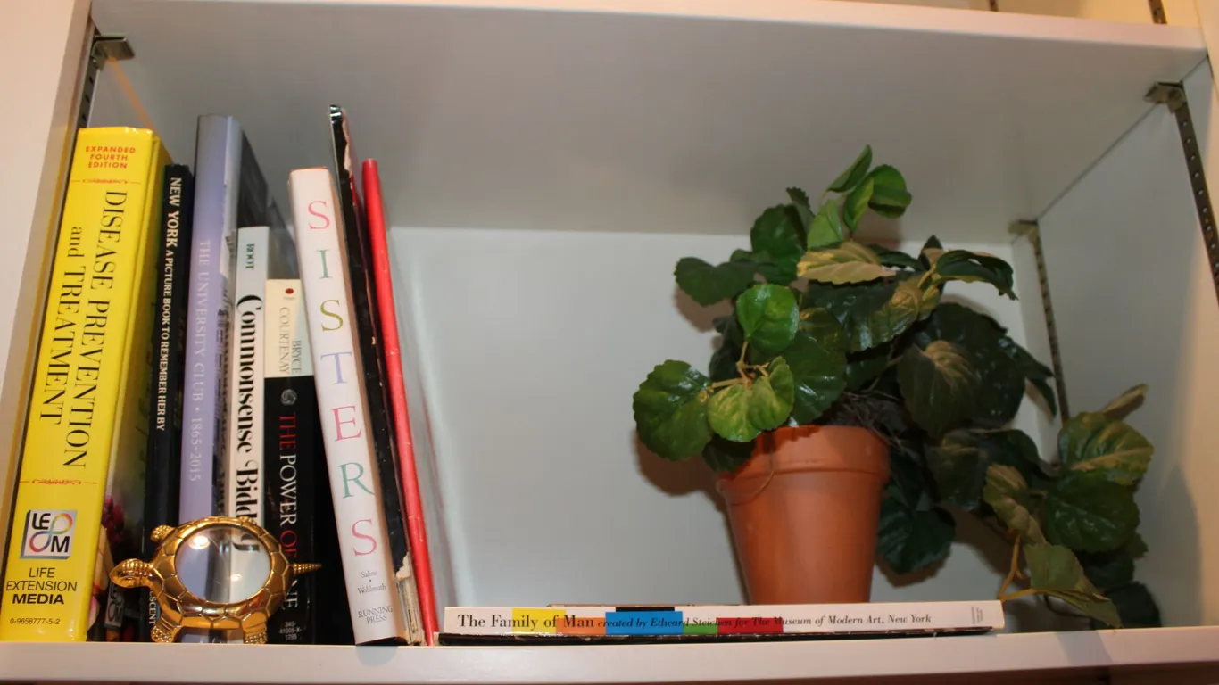Books, Turtle Magnifying Glass & Plant
