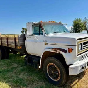 1981 Chevy 70 Dump Truck