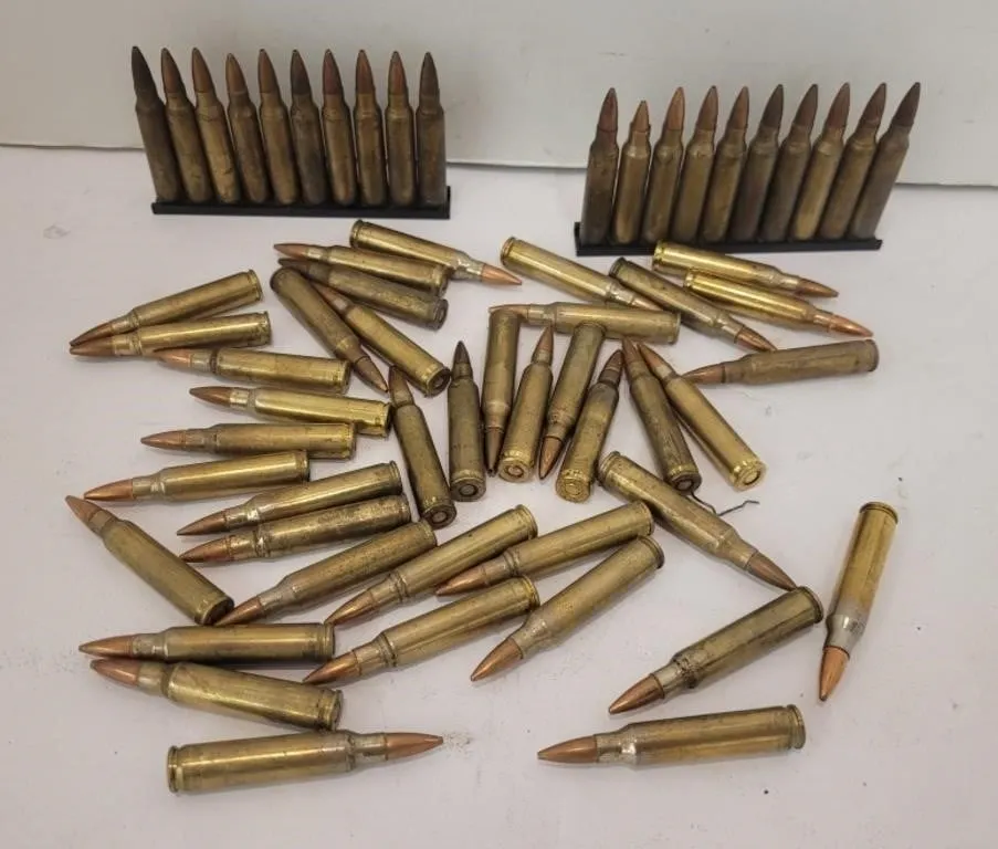 60 . 223 Cartridges