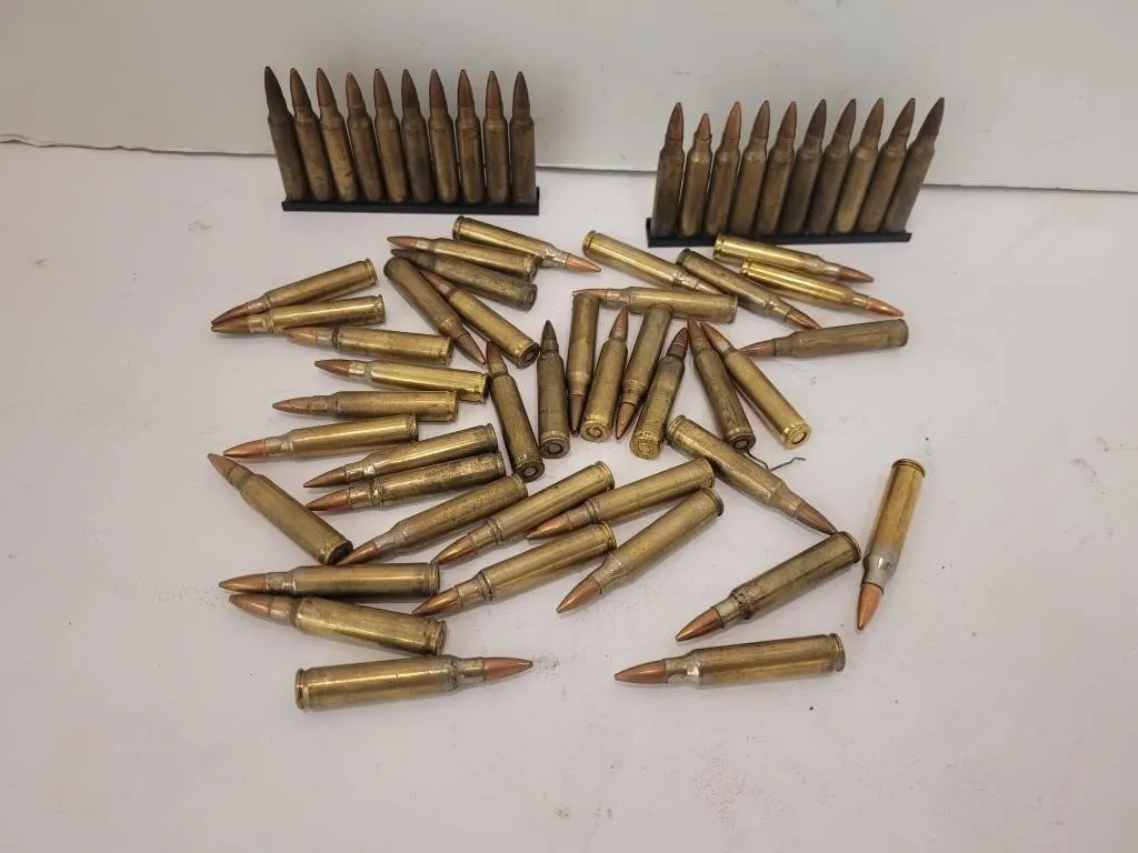 60 . 223 Cartridges