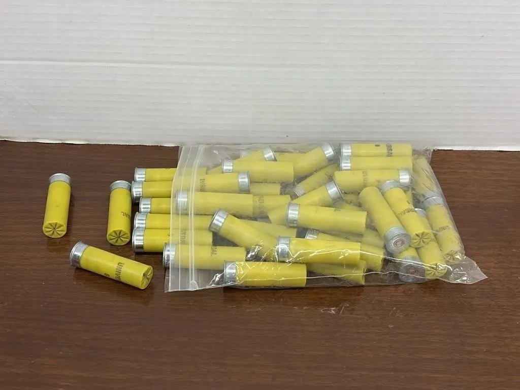 Winchester 20 GA Shot Gun Ammo