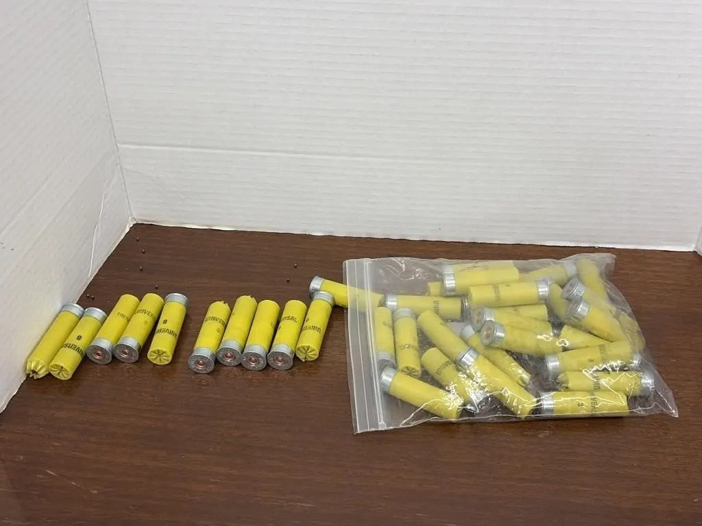 Winchester 20 GA Shot Gun Ammo