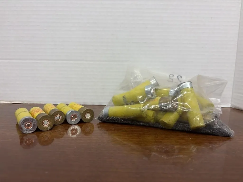 Winchester 20 GA Shot Gun Ammo
