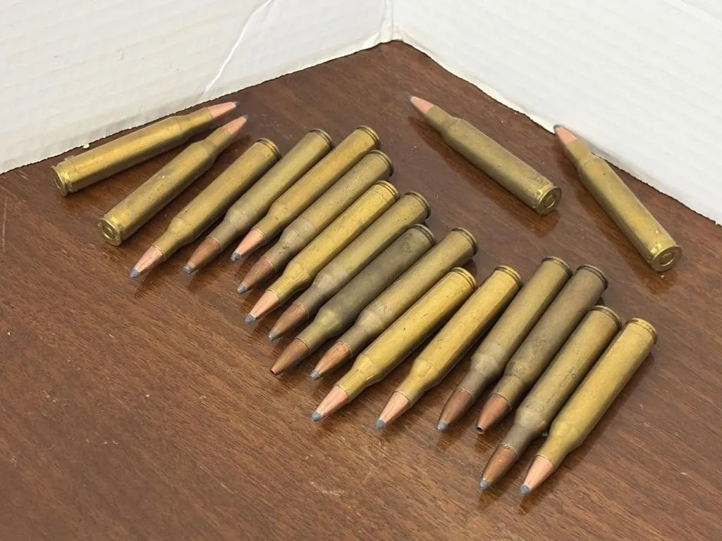 270 Winchester Ammunition