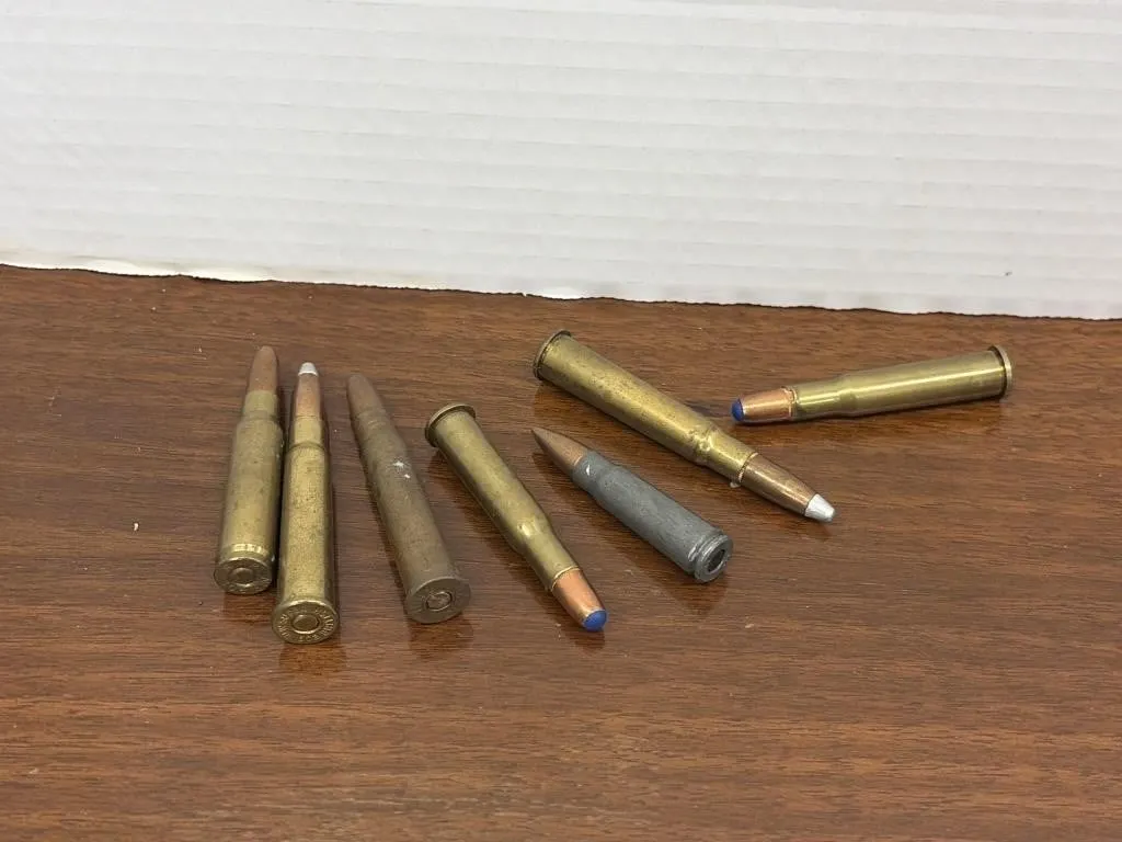 Assorted Loaded Ammunition