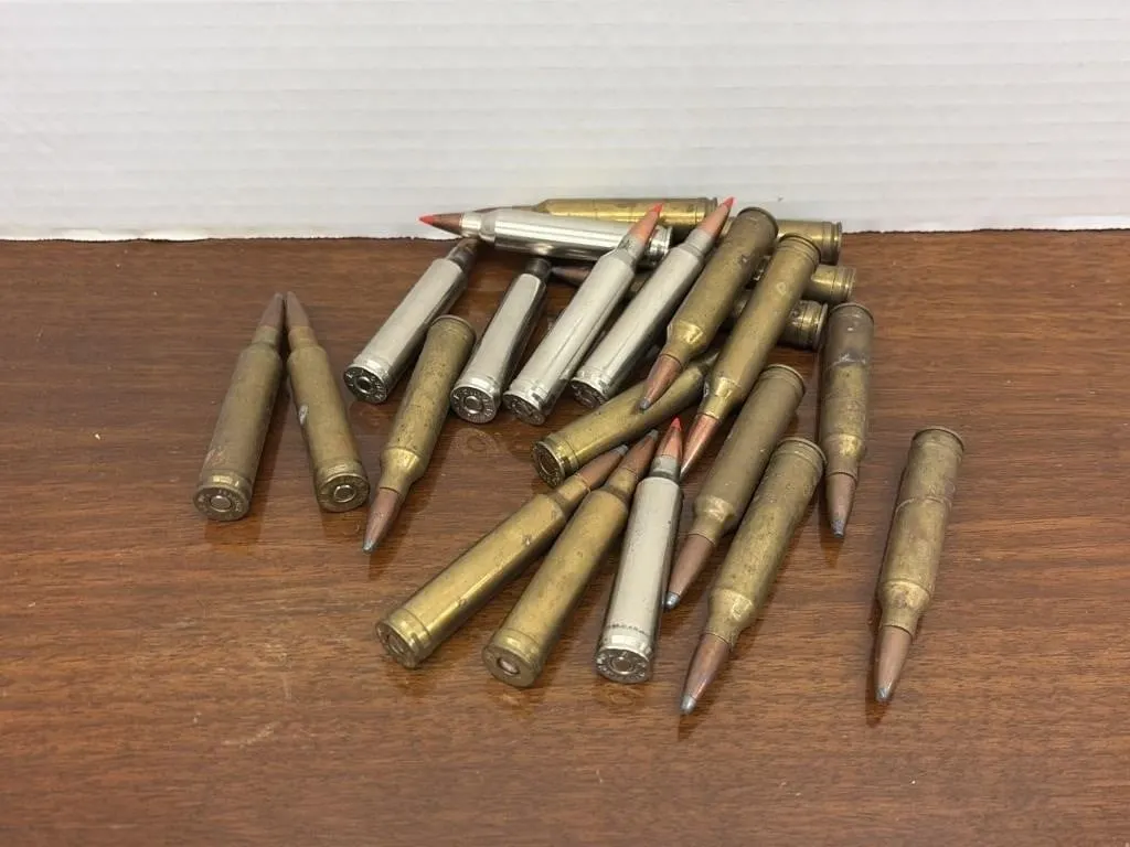 Approximately 20 Loaded 7mm Rounds