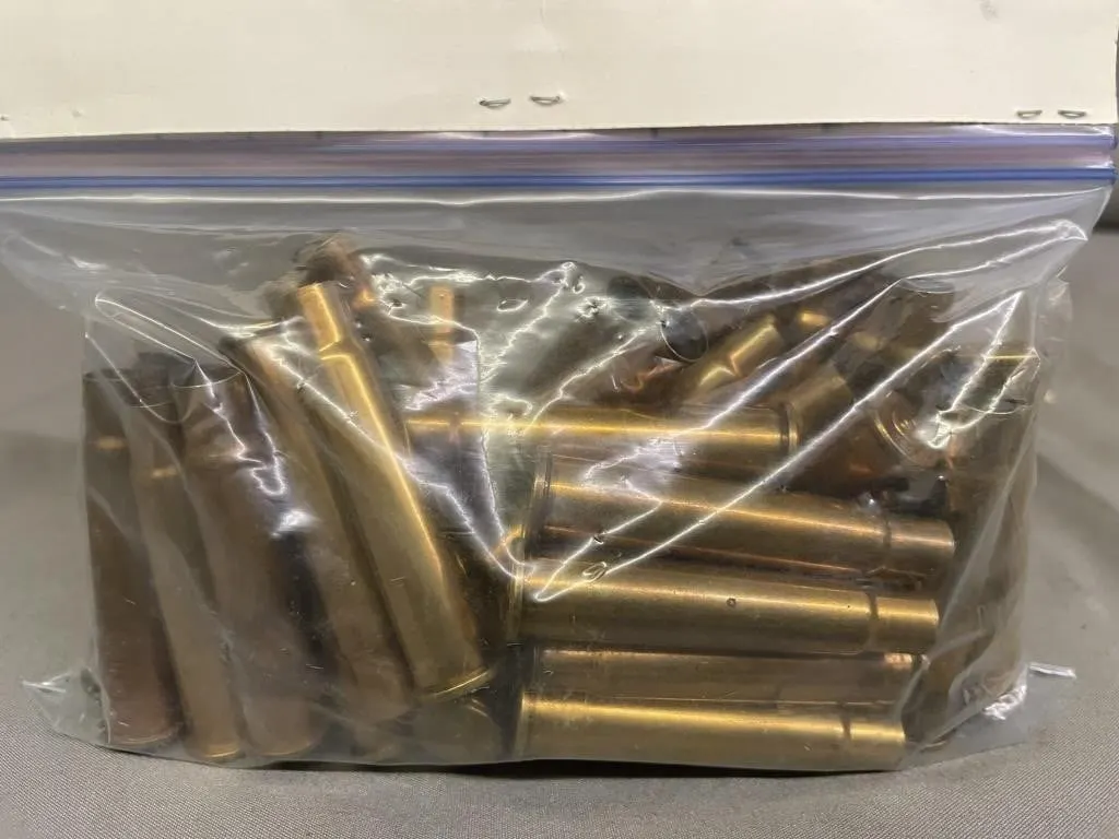 Bag of approx. 50 .303 cal. brass.