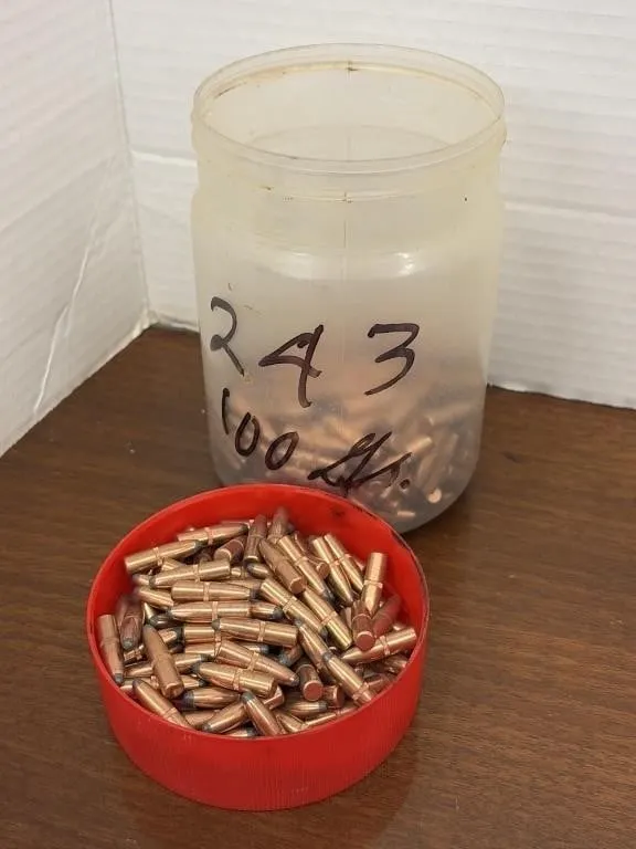 243 Ammunition- 100 Gr