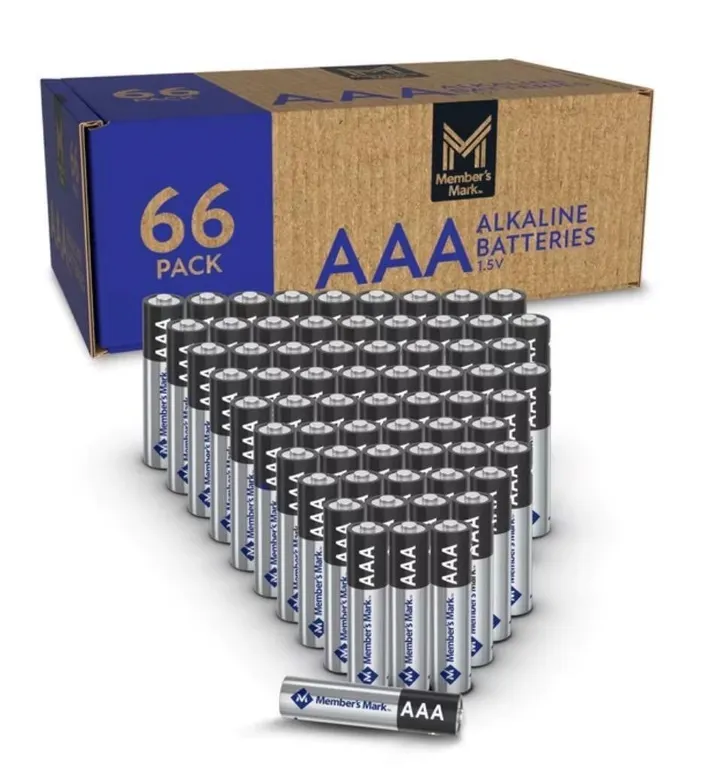Aaa Alkaline Batteries 66ct
