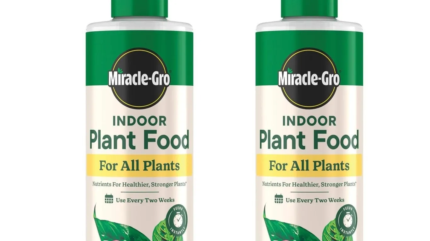 Miracle-Gro Indoor Plant Food 8 oz 2pk