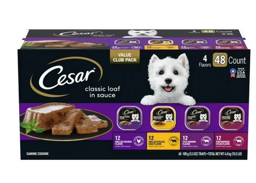 Cesar Filets In Gravy Wet Dog Food 48ct