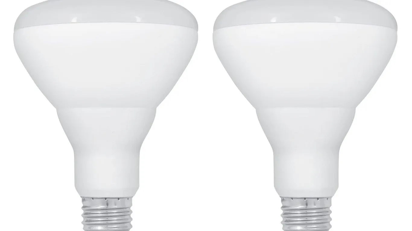 Feit Electric BR30 LED Light Bulbs 2700K 2pk