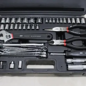 ACE Professional Mechanics Tool Set