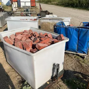 Assorted Masonry Bricks & Bins
 UNRESERVED