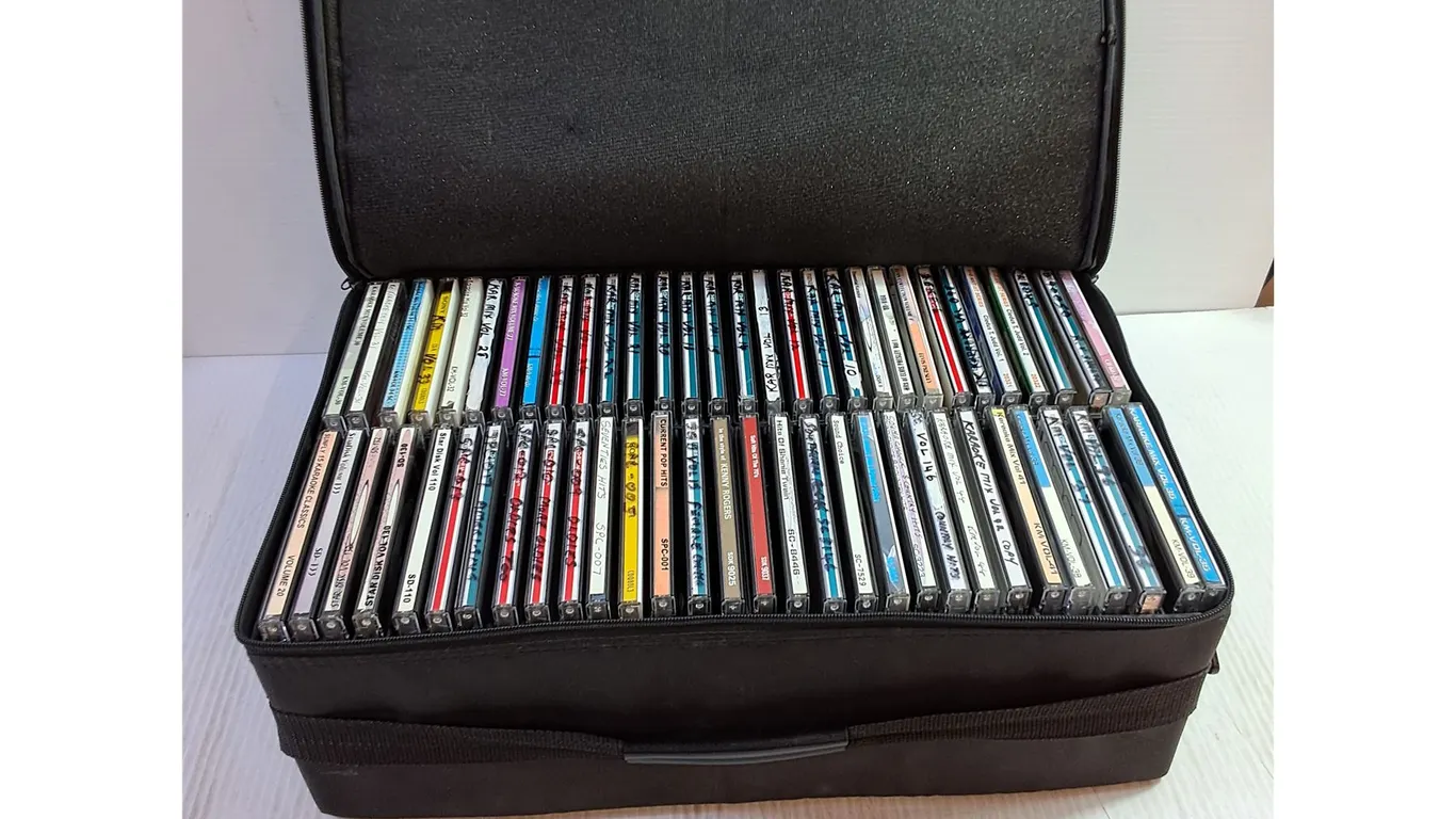 Dishwasher CD Carry Case & 60 Assorted CDs