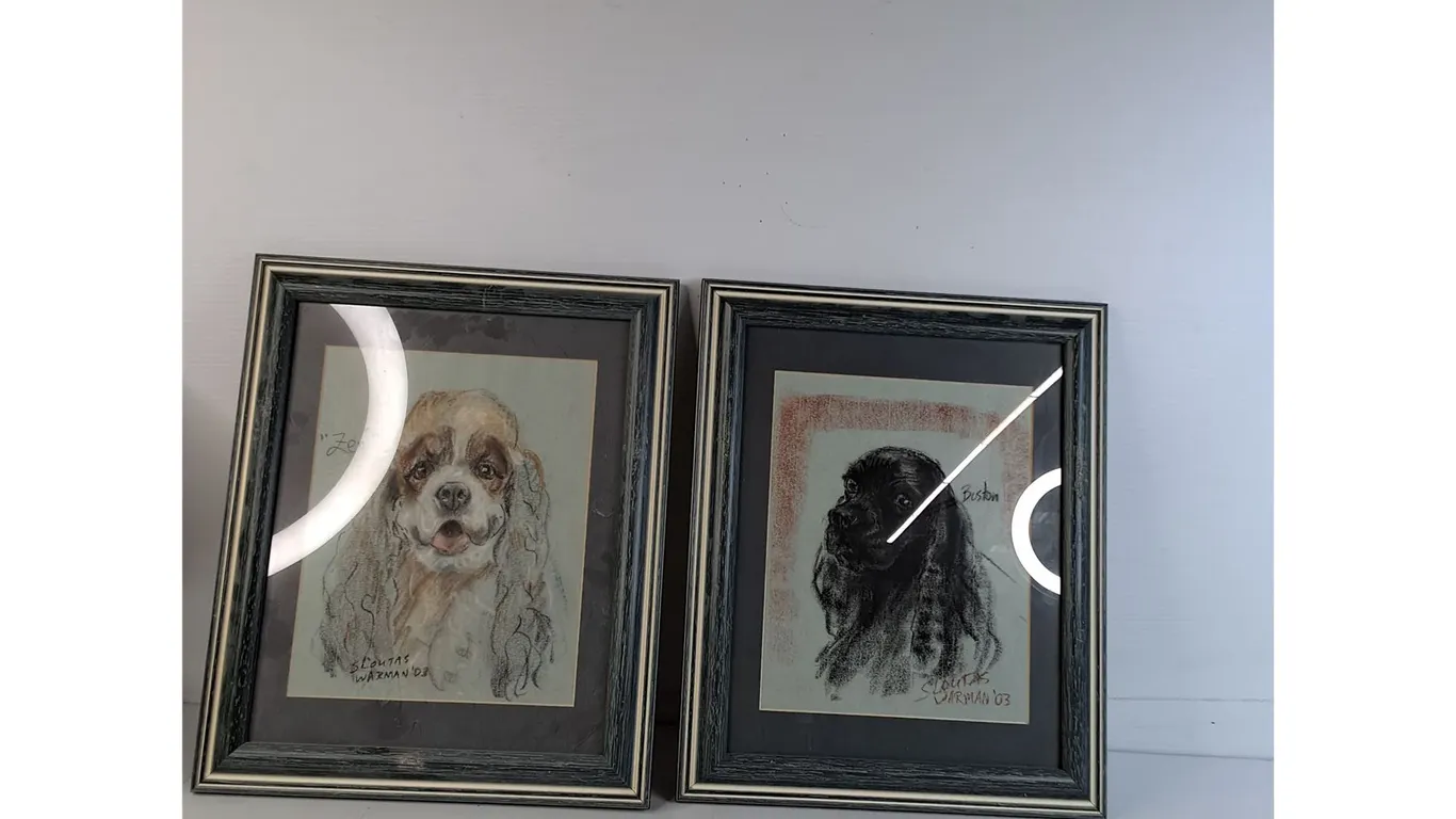 (2) Picture Frames Of Wall Art 14"x17"