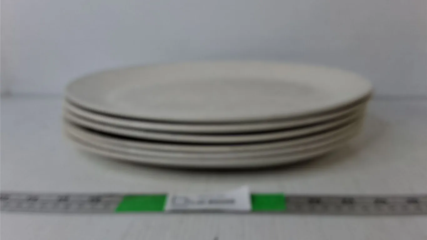 (6) Ceramic Steelite Serving Plates 13.25" x 10.5"
