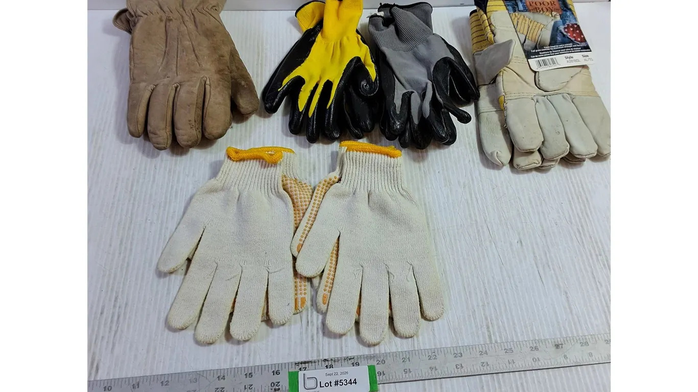 (6) Pairs of Gloves - Watson Gloves New