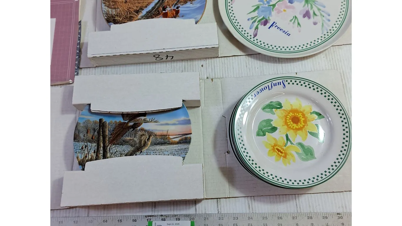 (2) Bradford Exchange Bird Collector Plates w/ COA (5) Flower Plates Set