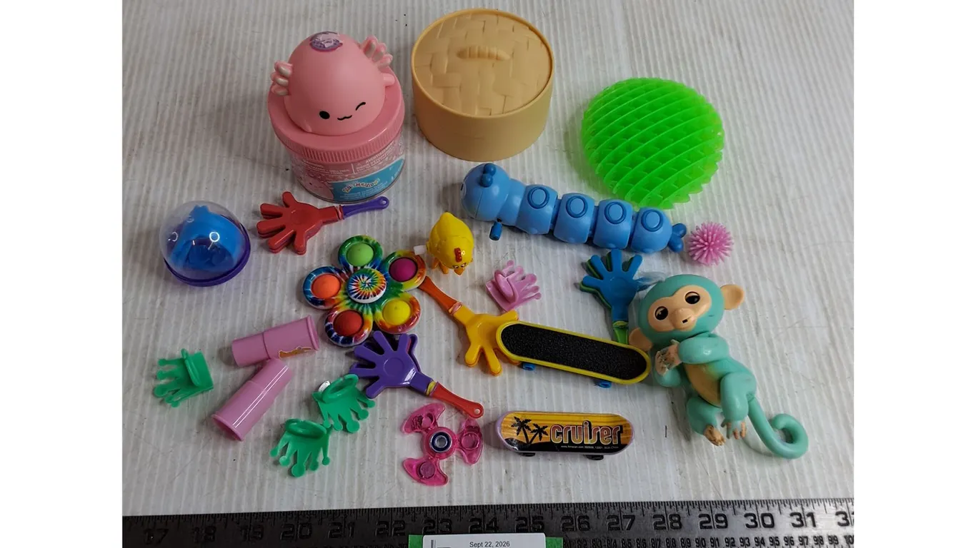Assorted Fidget Toys